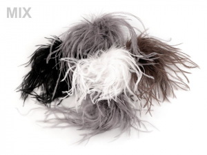 Brož s pštrosím peřím