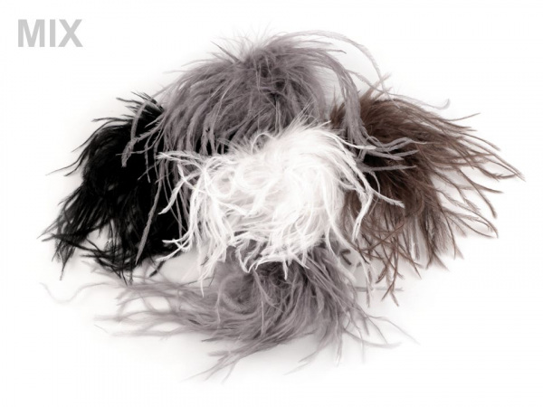 Brož s pštrosím peřím