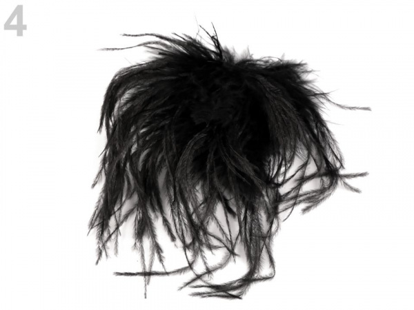 Brož s pštrosím peřím