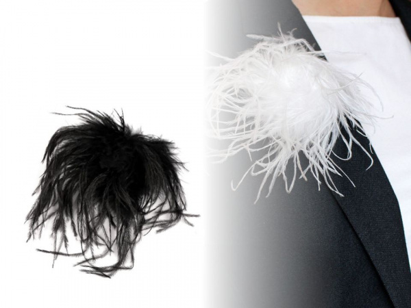 Brož s pštrosím peřím