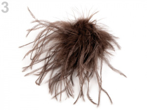 Brož s pštrosím peřím