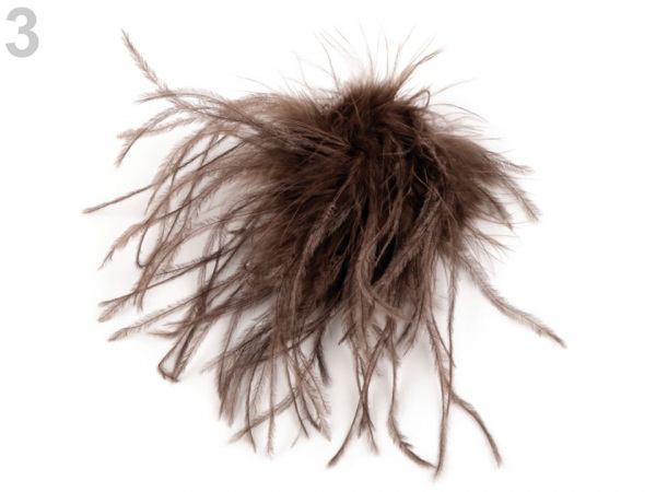 Brož s pštrosím peřím