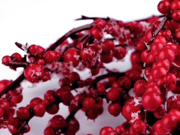 Umělé bobule ojíněné k aranžování