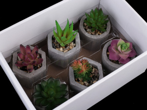 Umělý sukulent / kaktus v betonovém květináči