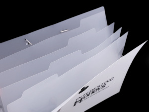 Složka s přihrádkami A4 pes, kočka Languo