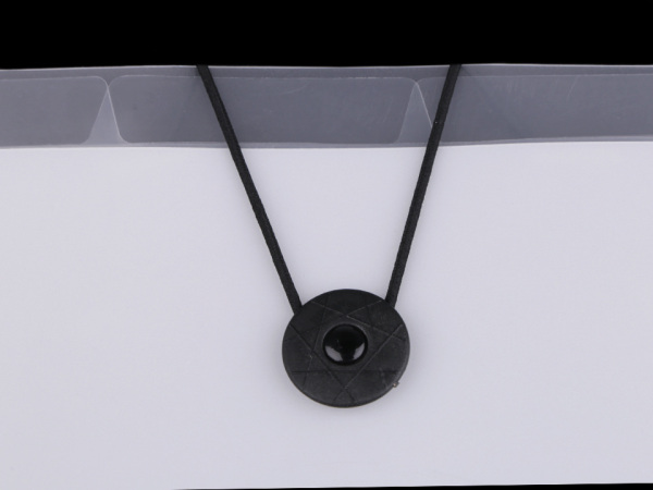 Složka s přihrádkami A4 pes, kočka Languo