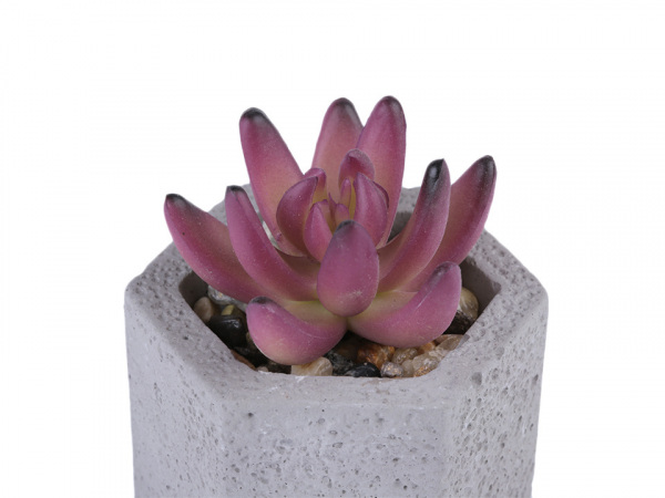 Umělý sukulent / kaktus v betonovém květináči