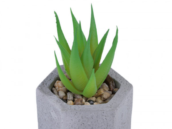 Umělý sukulent / kaktus v betonovém květináči