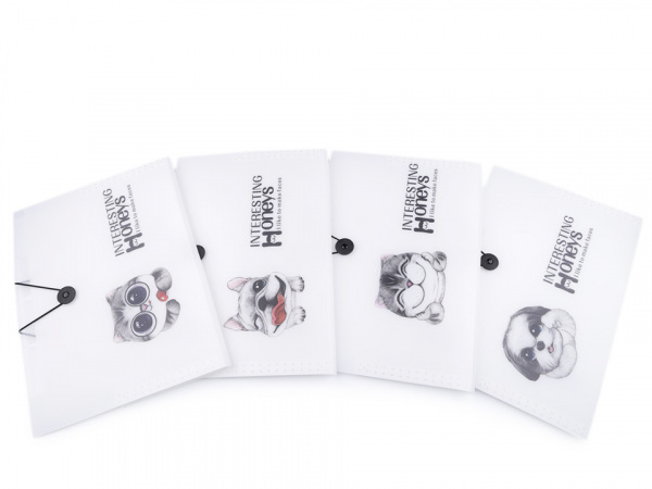 Složka s přihrádkami A4 pes, kočka Languo