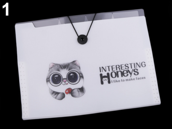 Složka s přihrádkami A4 pes, kočka Languo