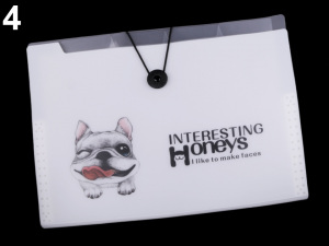 Složka s přihrádkami A4 pes, kočka Languo