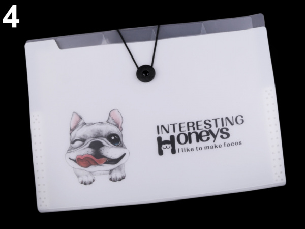 Složka s přihrádkami A4 pes, kočka Languo