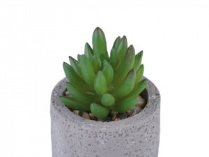 Umělý sukulent / kaktus v betonovém květináči