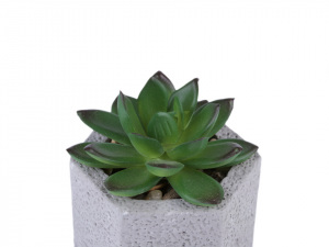 Umělý sukulent / kaktus v betonovém květináči
