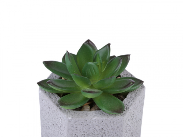 Umělý sukulent / kaktus v betonovém květináči