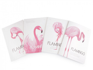 Sešit / zápisník plameňák Languo 18,5x26 cm