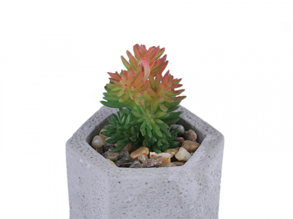 Umělý sukulent / kaktus v betonovém květináči