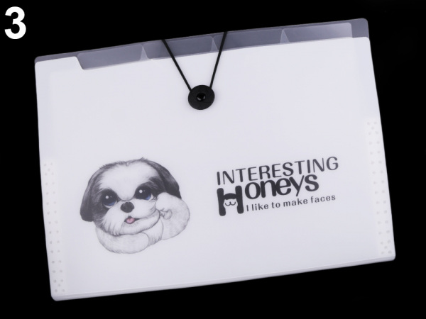 Složka s přihrádkami A4 pes, kočka Languo