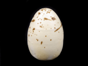 Dekorační křepelčí vajíčka k aranžování v síťce