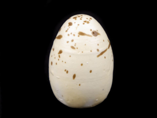 Dekorační křepelčí vajíčka k aranžování v síťce