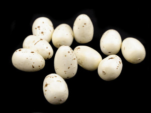 Dekorační křepelčí vajíčka k aranžování v síťce