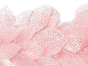 Prýmek lístky / květy na monofilu šíře 100 mm s perleťovým efektem