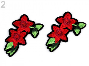 Nažehlovačka květ