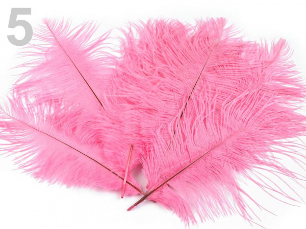 Pštrosí peří délka cca 20 cm