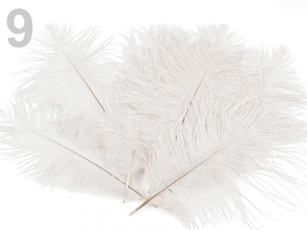 Pštrosí peří délka cca 20 cm