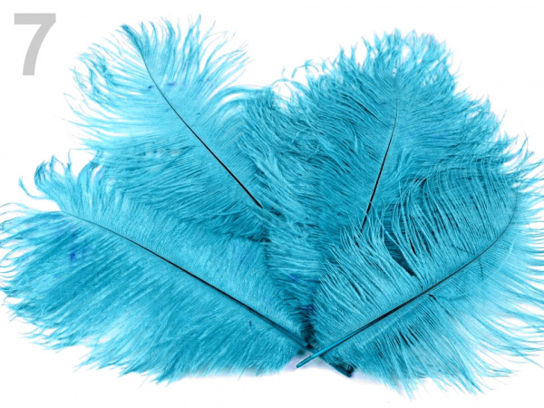 Pštrosí peří délka cca 20 cm