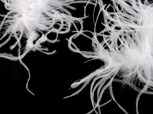 Boa - pštrosí peří 30 g délka 2 m