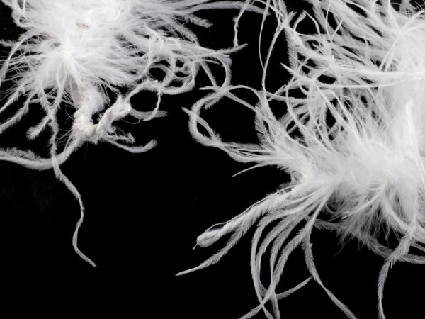 Boa - pštrosí peří 30 g délka 2 m