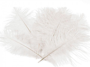 Pštrosí peří délka cca 20 cm