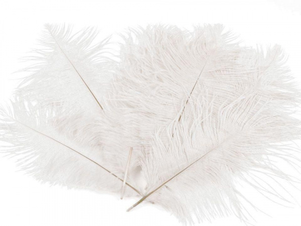 Pštrosí peří délka cca 20 cm