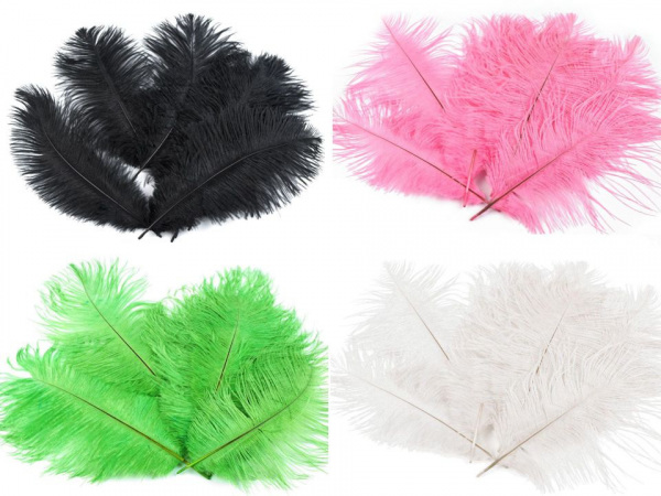 Pštrosí peří délka cca 20 cm