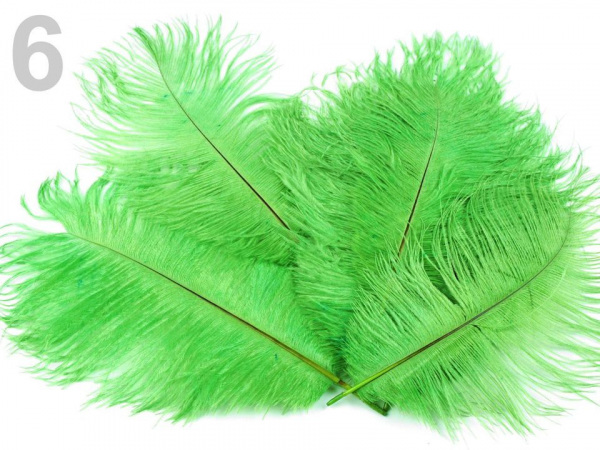 Pštrosí peří délka cca 20 cm