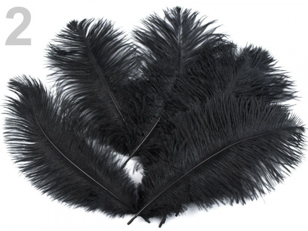 Pštrosí peří délka cca 20 cm