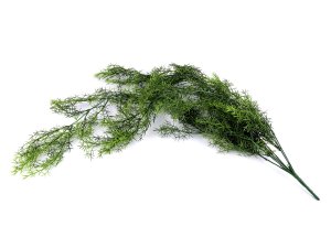 Umělý asparágus převislý