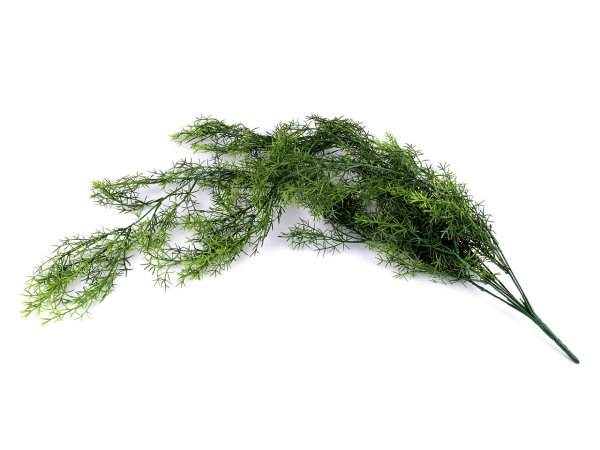 Umělý asparágus převislý