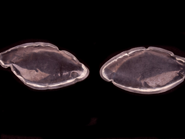 Gelové polštářky pusch-up