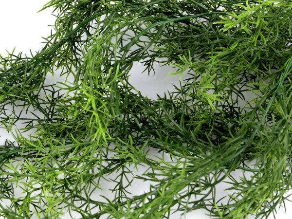 Umělý asparágus převislý