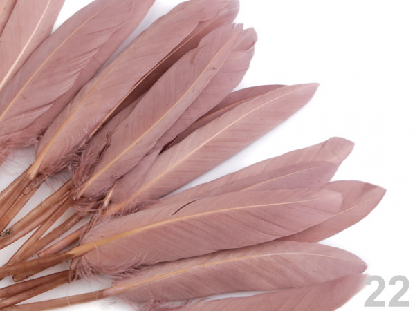 Kachní peří délka  9-14 cm