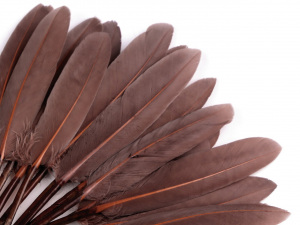 Kachní peří délka  9-14 cm
