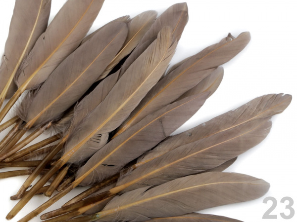 Kachní peří délka  9-14 cm