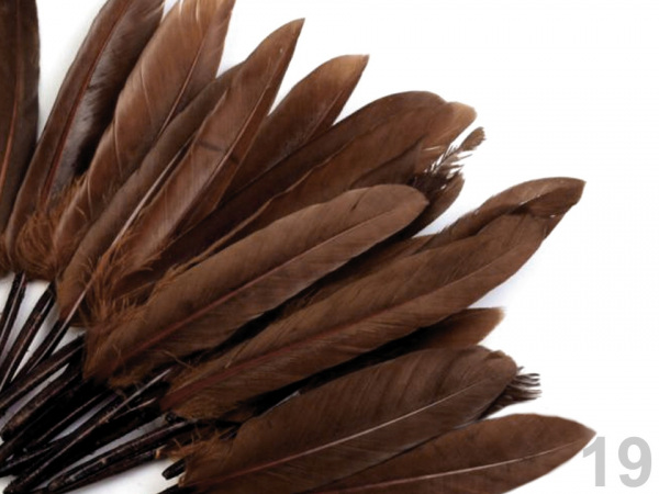 Kachní peří délka  9-14 cm