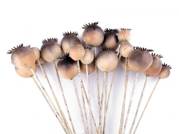 Umělá makovice k aranžování