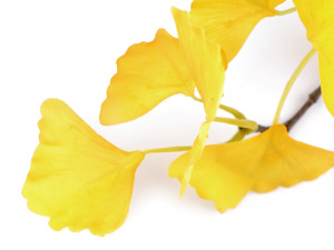 Umělá větvička ginko biloba k aranžování