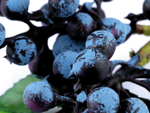 Umělé bobule k aranžování