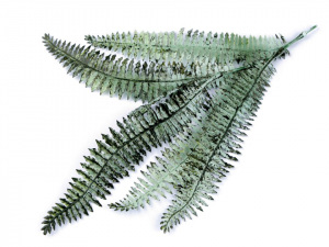 Umělá kapradina k aranžování