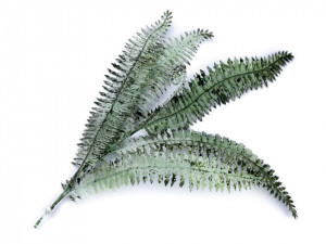 Umělá kapradina k aranžování